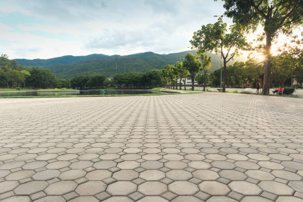 Best Driveway Pavers for Homes  in Attica, IN